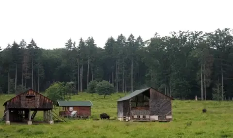 Que pouvez-vous visiter à Târgu Neamț  ?