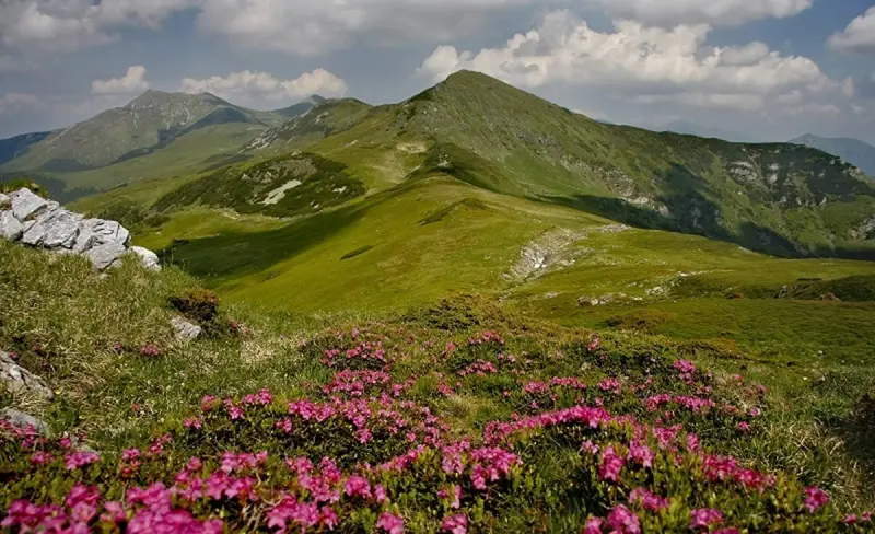 Découvrez les attractions touristiques de Bistrița  !