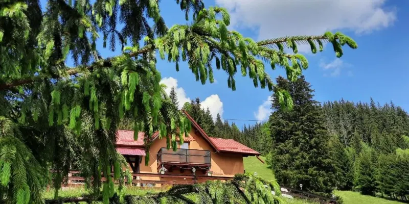 Casa Aurici Vatra Dornei, photo 3 sur 86
