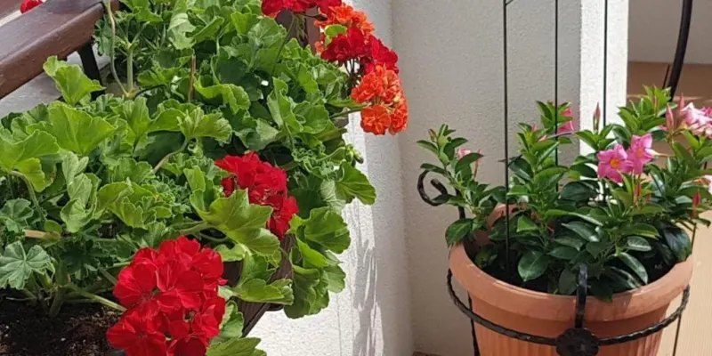 Guci, photo 2 sur 47