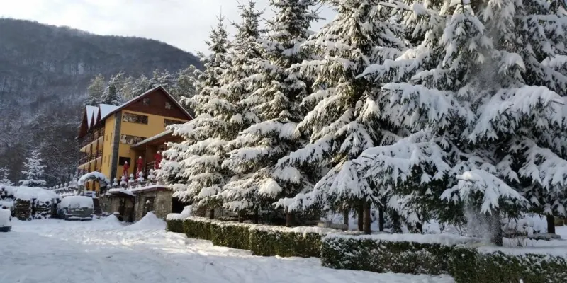 Pension Curmatura Stezii, photo 2 sur 79